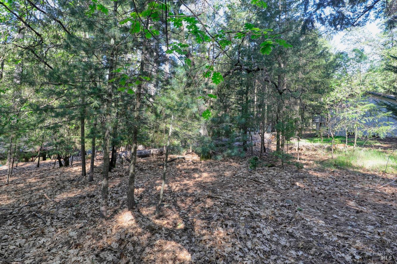 16303 Niblick Road Cobb CA 95426