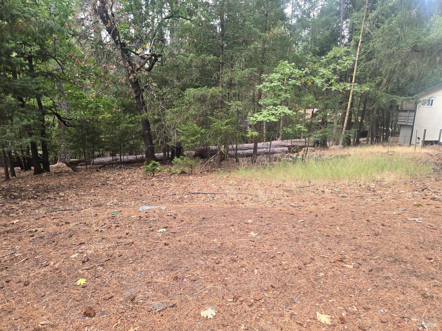 16303 Niblick Road Cobb CA 95426