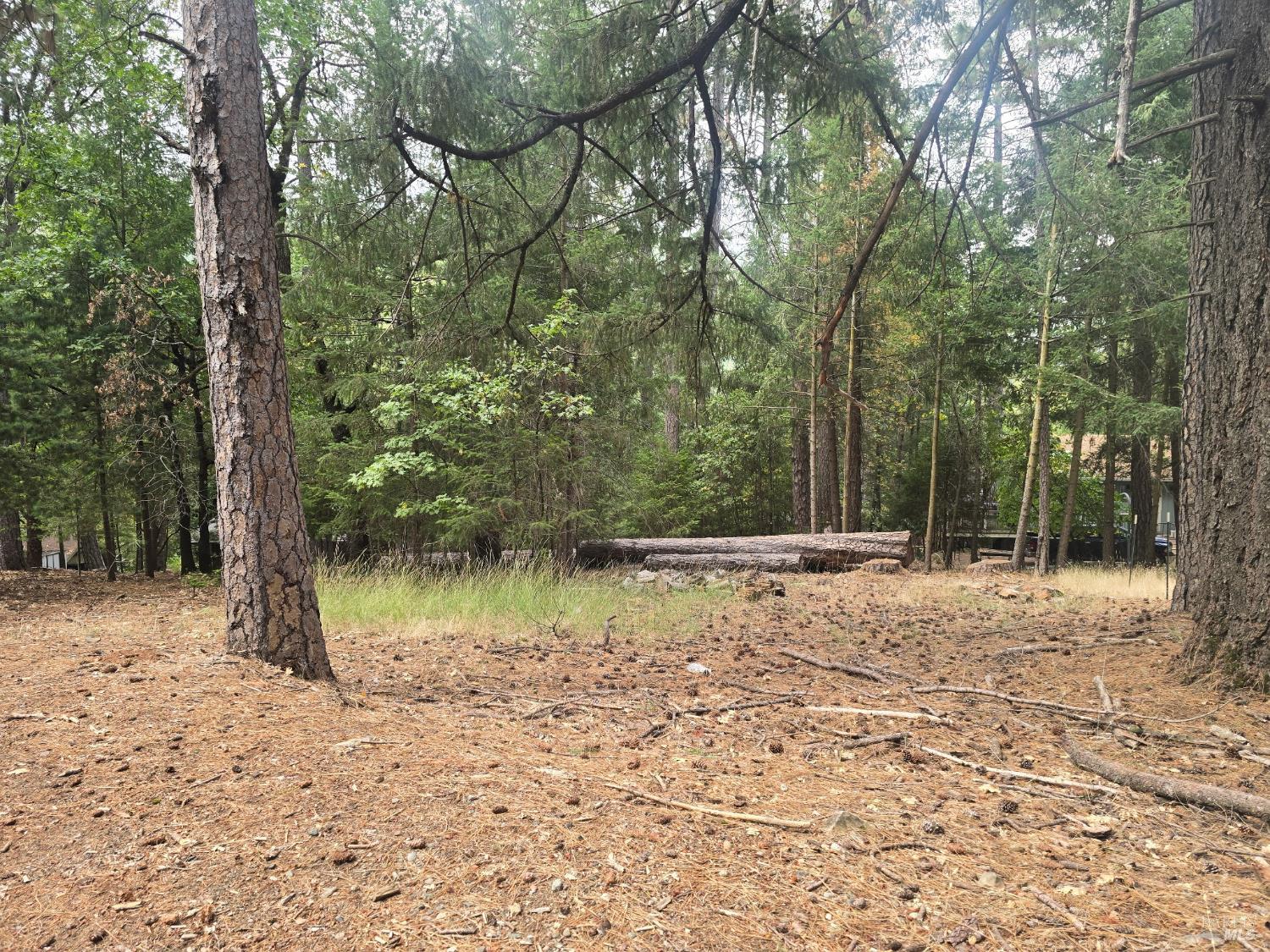 16303 Niblick Road Cobb CA 95426