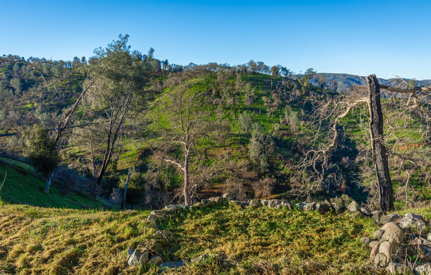 1131 Headlands Drive Napa CA 94558