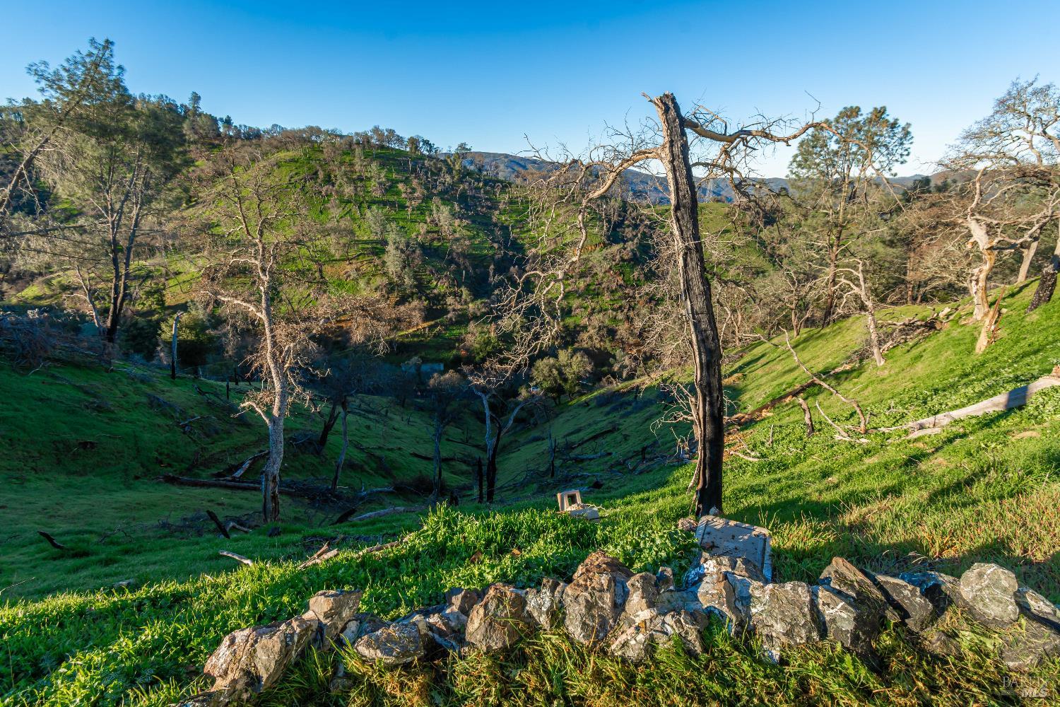 1131 Headlands Drive Napa CA 94558