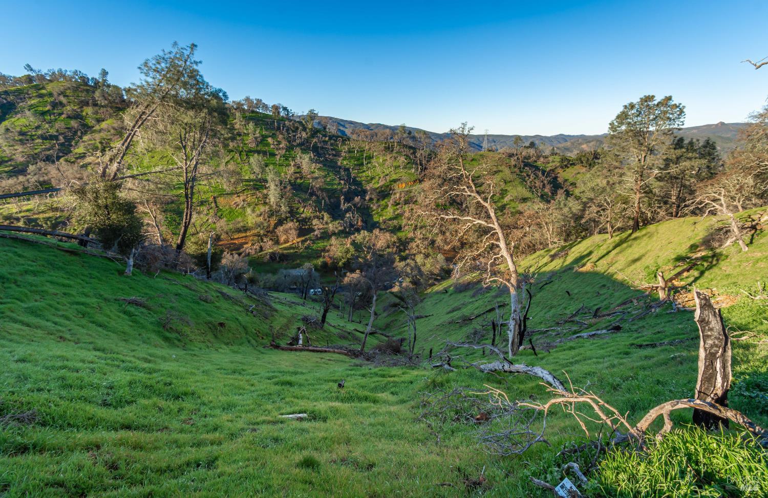 1131 Headlands Drive Napa CA 94558