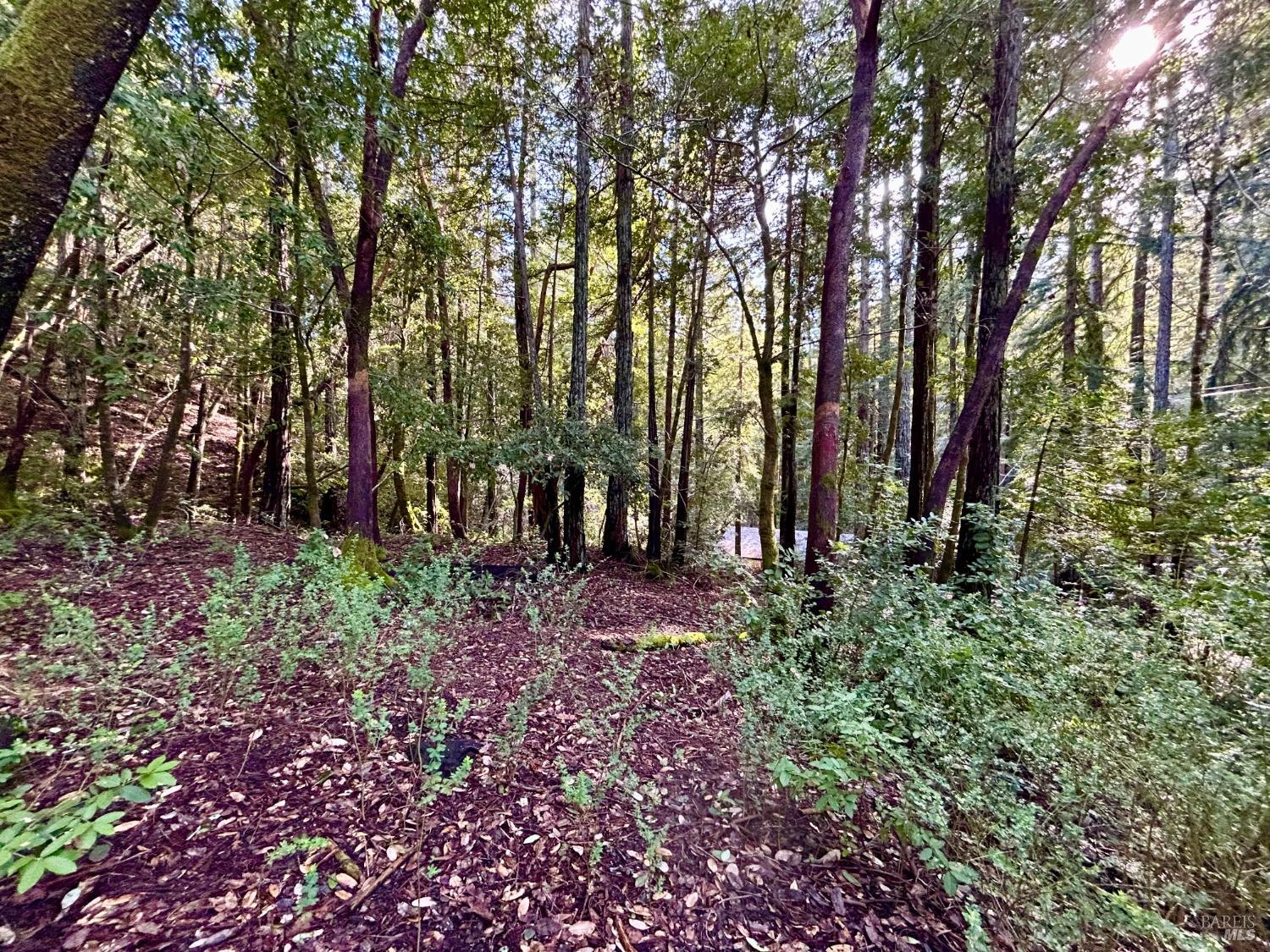 16167 Fern Way Guerneville CA 95446