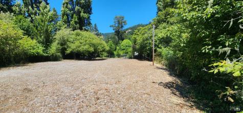 23001 Conifer Drive Monte Rio CA 95462