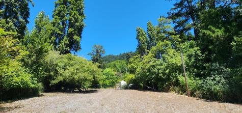 23001 Conifer Drive Monte Rio CA 95462