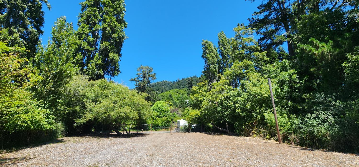 23001 Conifer Drive Monte Rio CA 95462