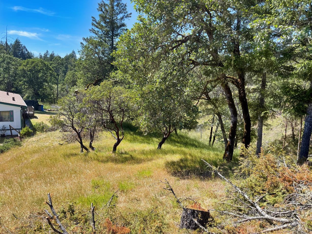 26549 Daphne Way Willits CA 95490