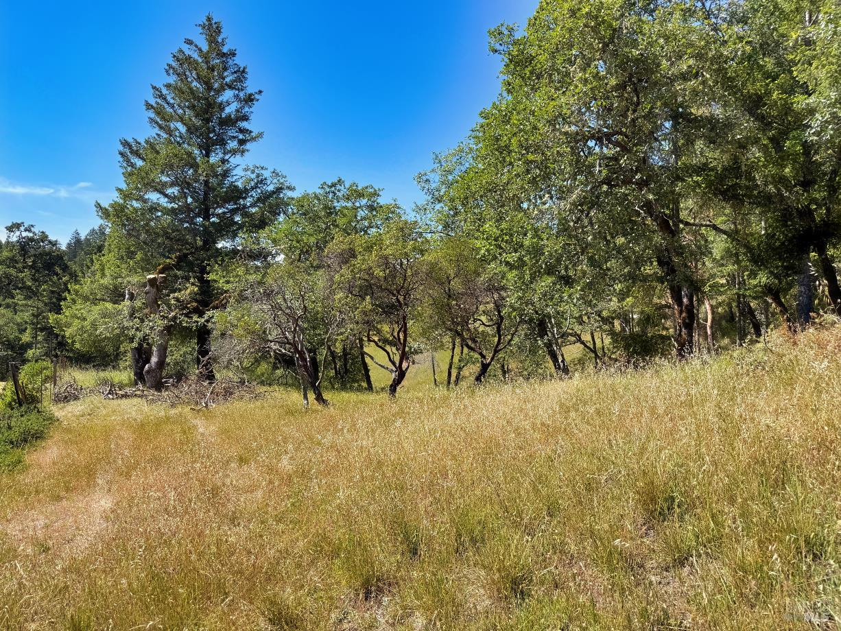 26549 Daphne Way Willits CA 95490