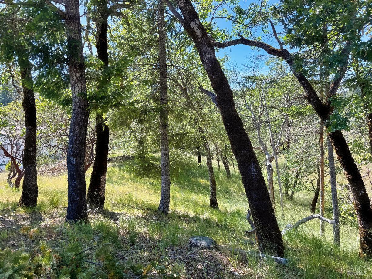 26549 Daphne Way Willits CA 95490
