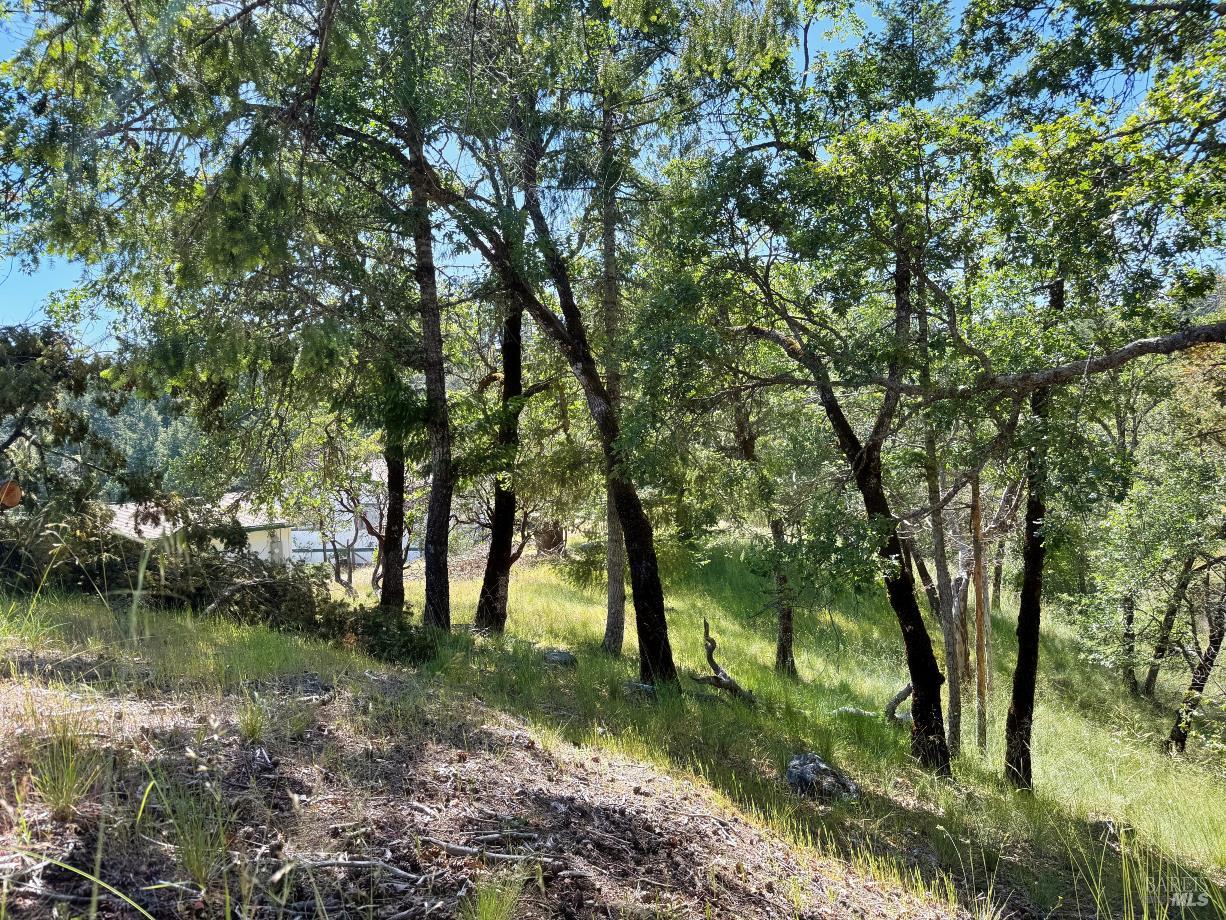 26549 Daphne Way Willits CA 95490