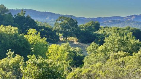 6555-PARCEL 3 Enterprise Road Glen Ellen CA 95442