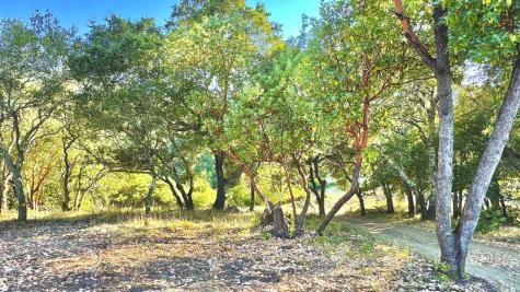 6555-PARCEL 3 Enterprise Road Glen Ellen CA 95442