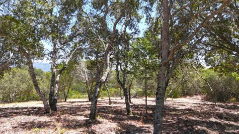 6555-PARCEL 3 Enterprise Road Glen Ellen CA 95442