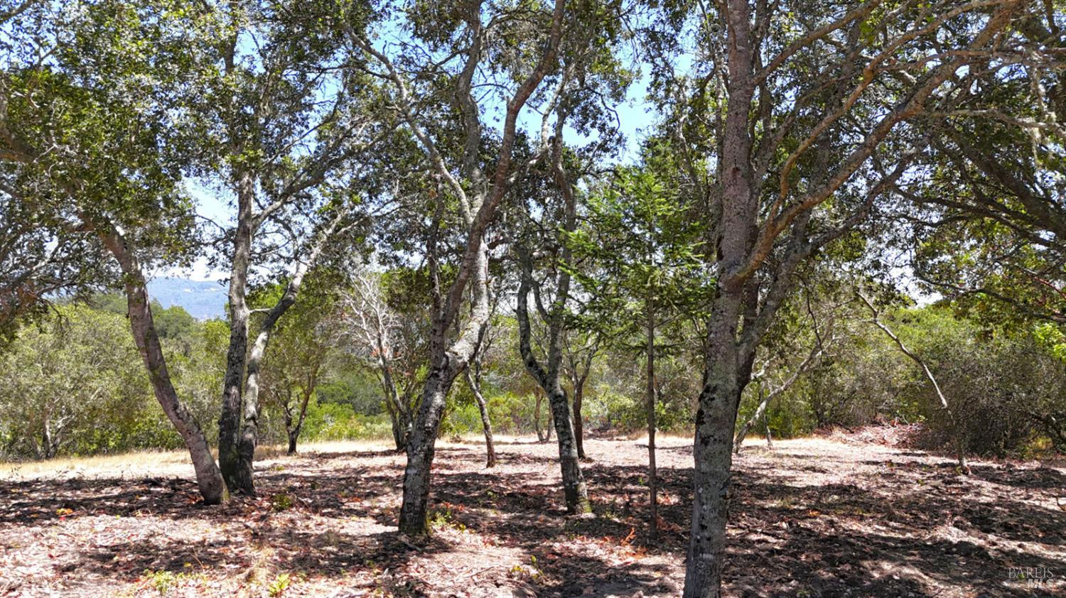6555-PARCEL 3 Enterprise Road Glen Ellen CA 95442