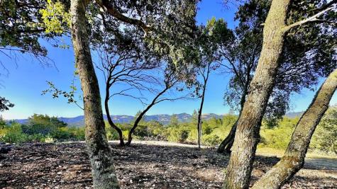 6555-PARCEL 3 Enterprise Road Glen Ellen CA 95442