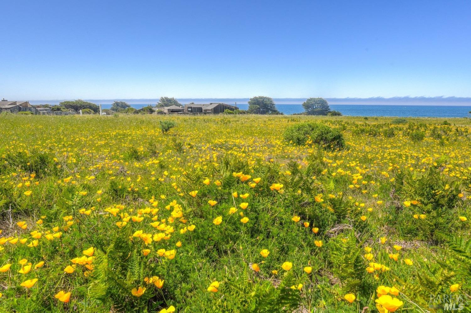 149 Otter Close The Sea Ranch CA 95497