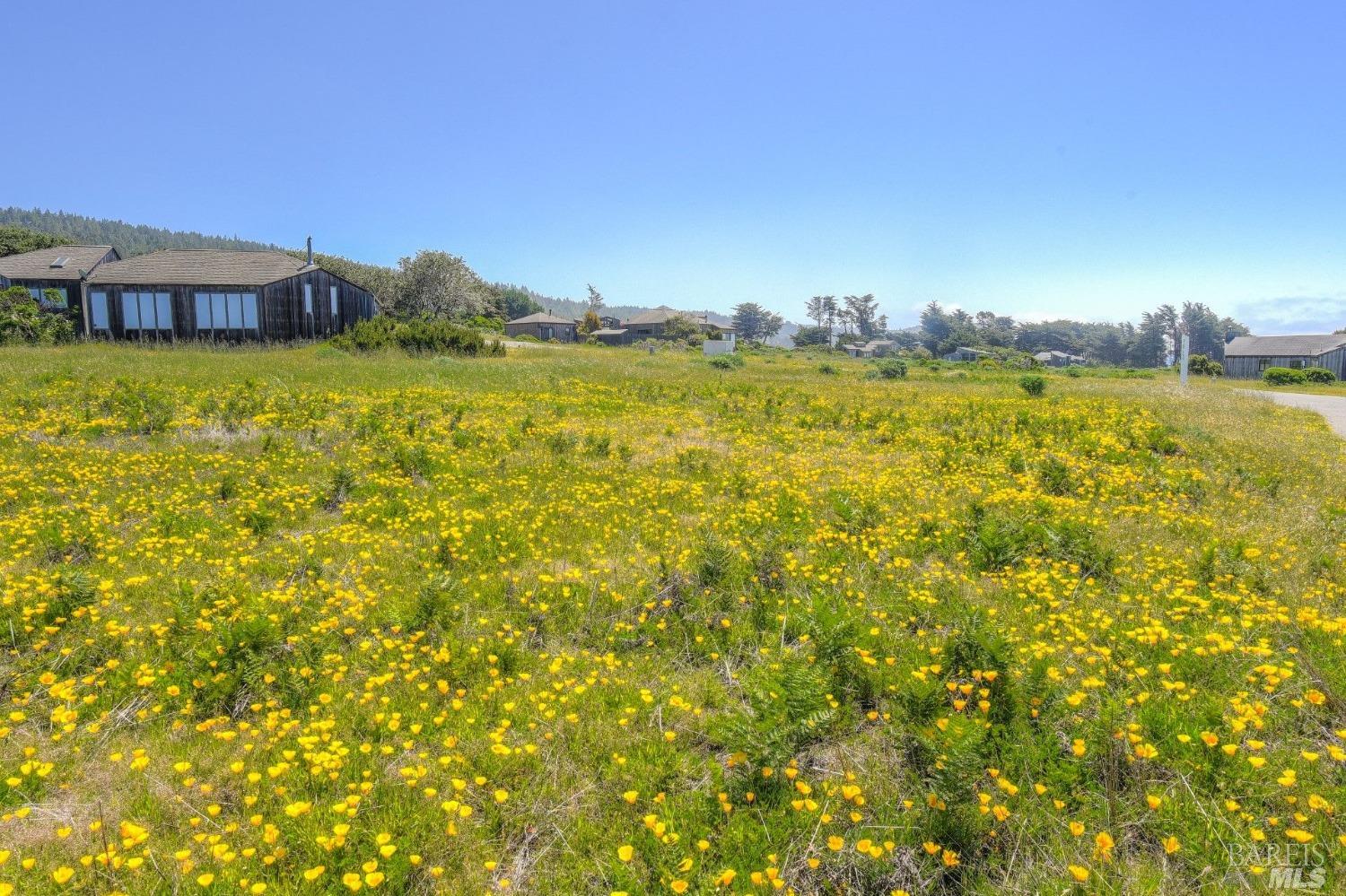 149 Otter Close The Sea Ranch CA 95497