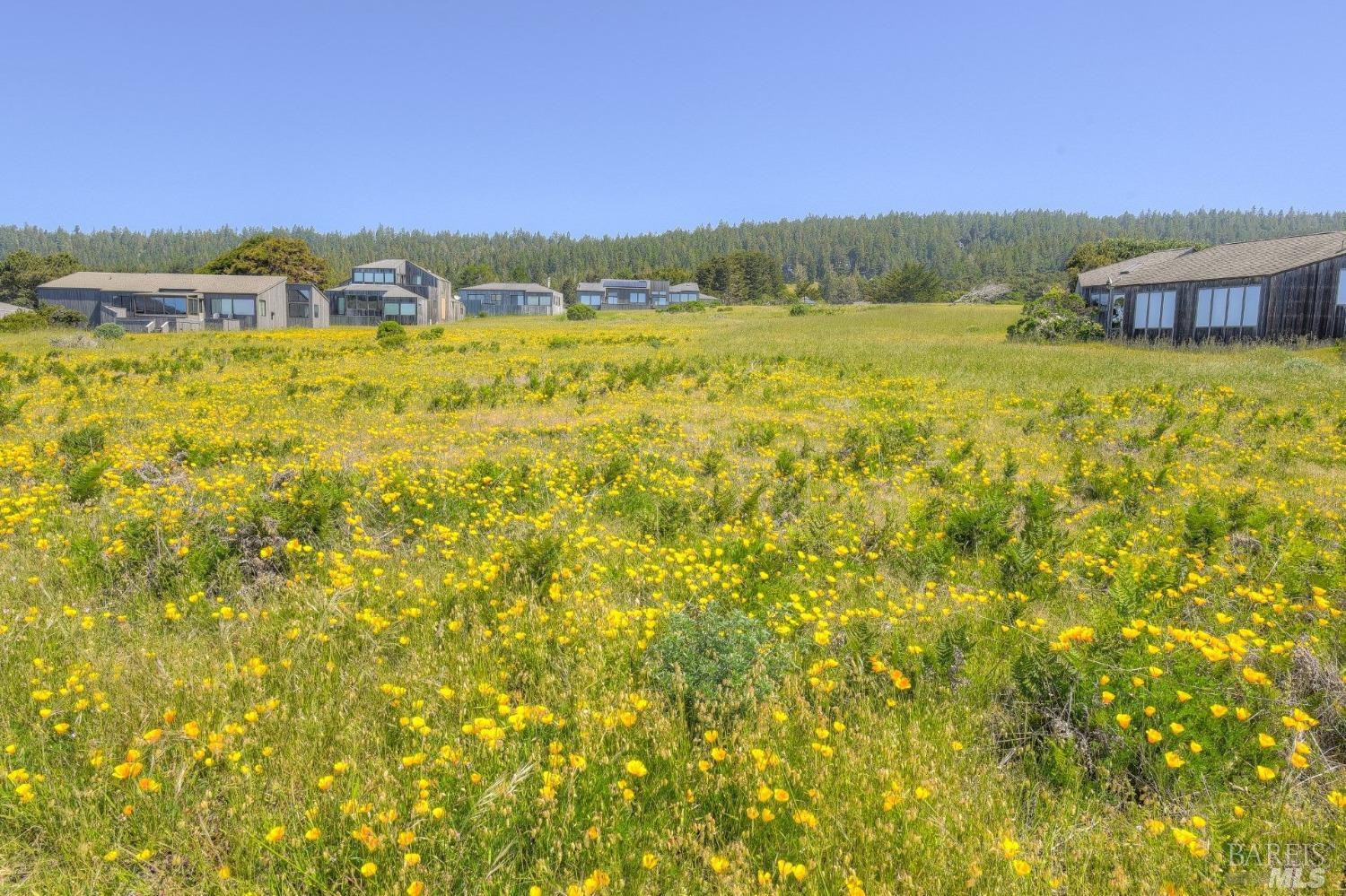 149 Otter Close The Sea Ranch CA 95497