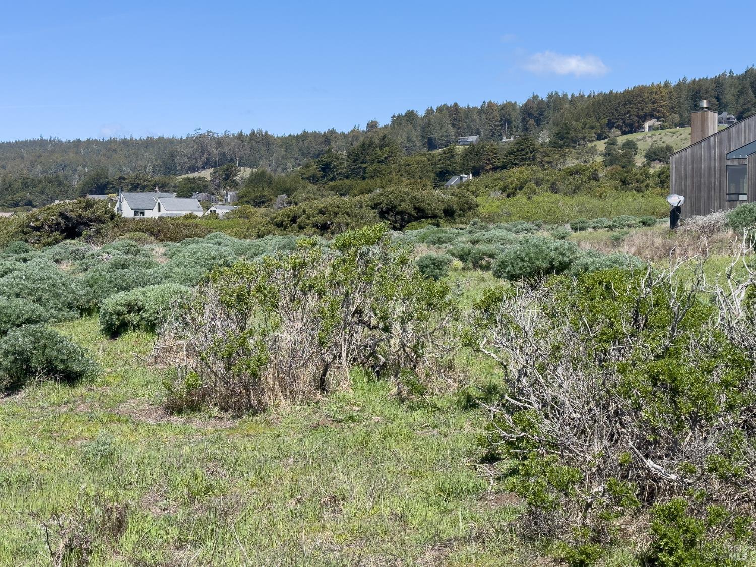 36910 Green Cove Drive The Sea Ranch CA 95497