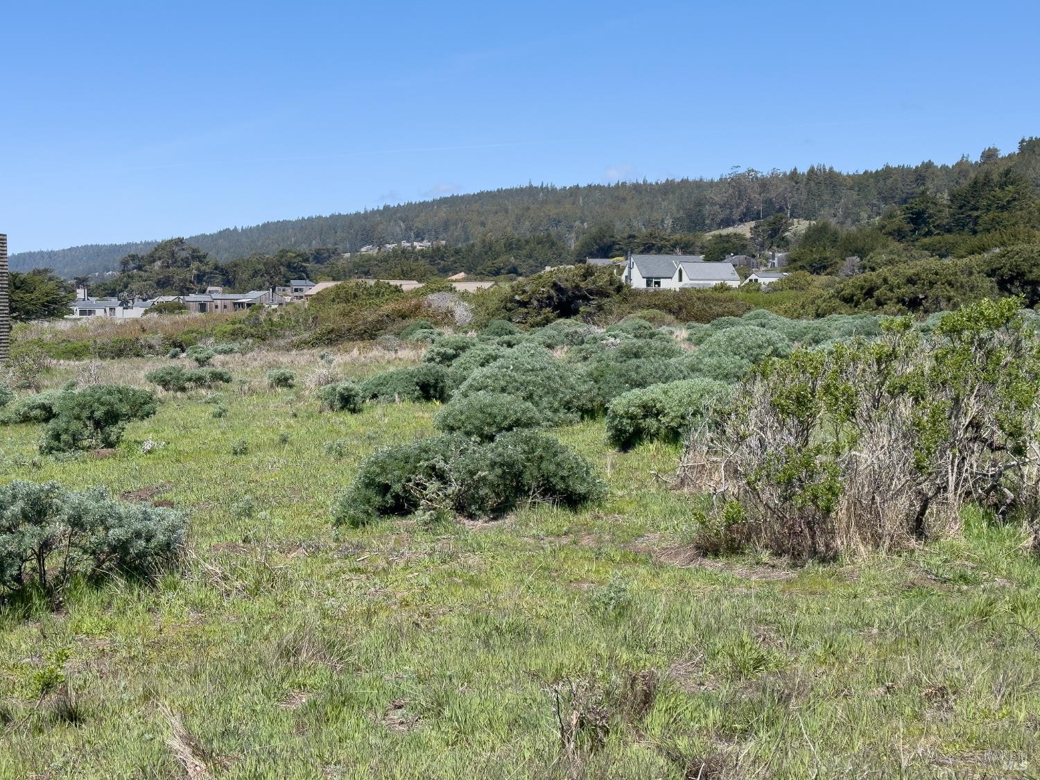 36910 Green Cove Drive The Sea Ranch CA 95497