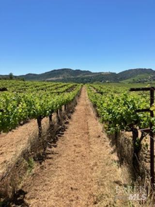3585 Soda Canyon Road Napa CA 94558