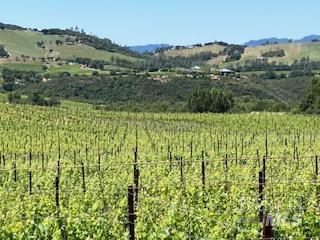 3585 Soda Canyon Road Napa CA 94558
