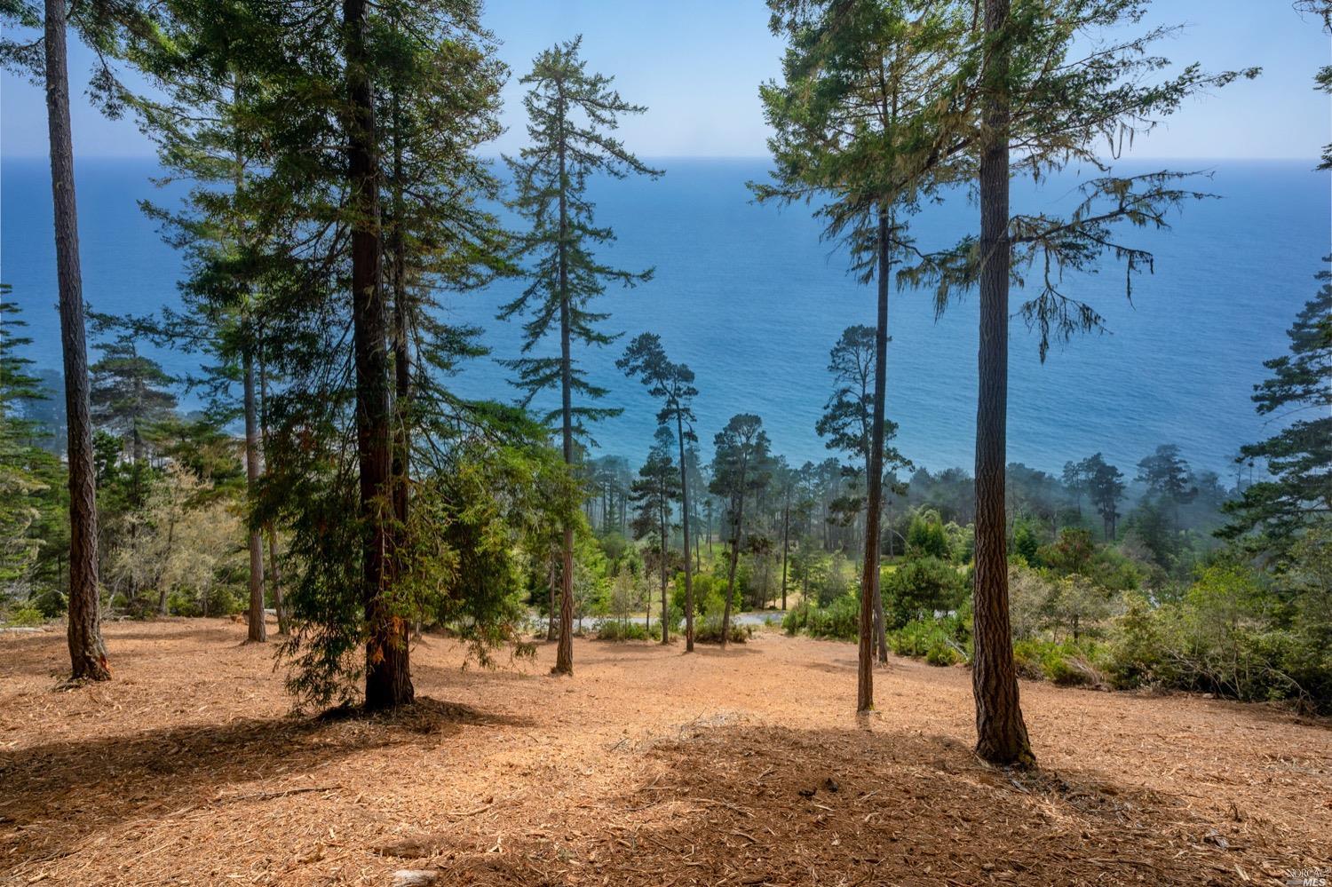 22071 Lee Drive Jenner CA 95450
