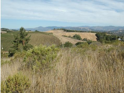 11005 Chalk Hill Road Healdsburg CA 95448
