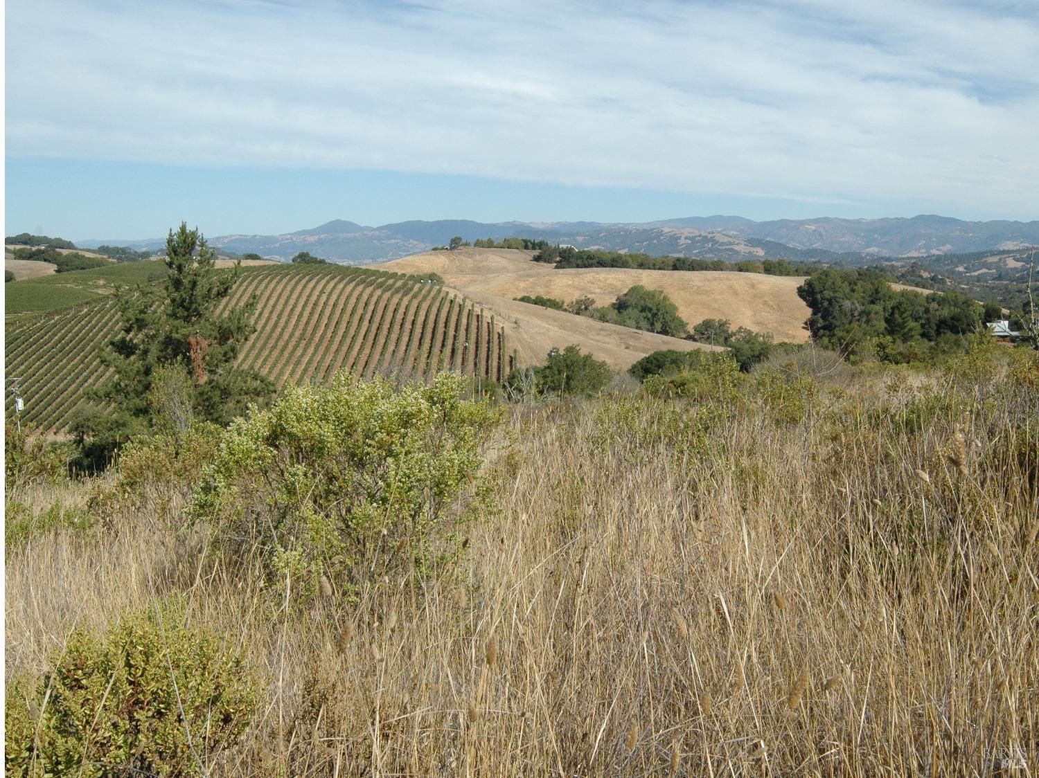 11005 Chalk Hill Road Healdsburg CA 95448