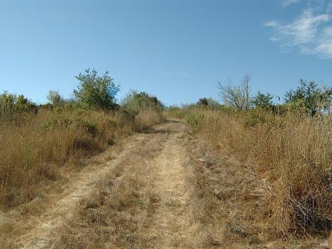 11005 Chalk Hill Road Healdsburg CA 95448