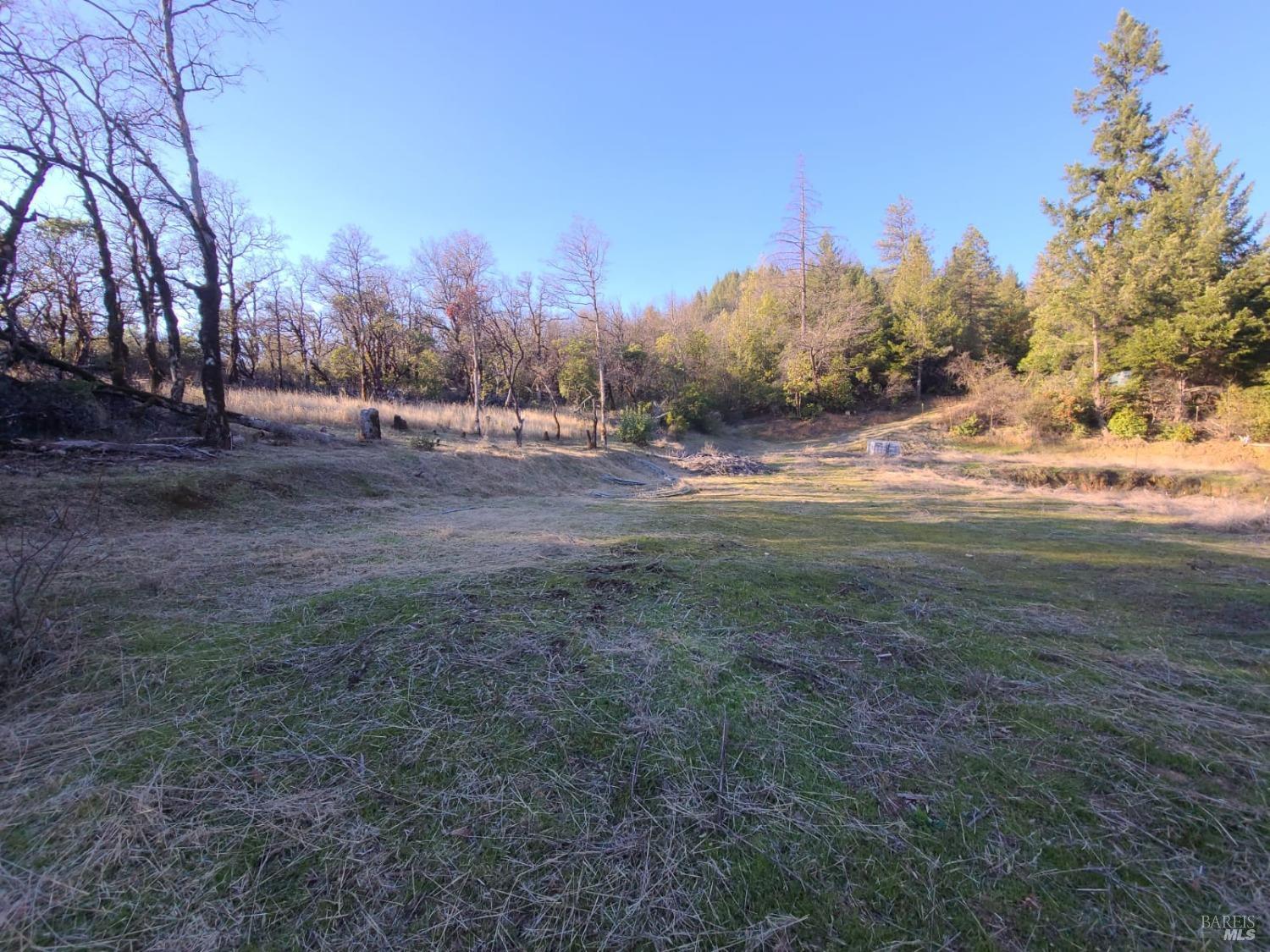 80250 Mina Road Covelo CA 95428
