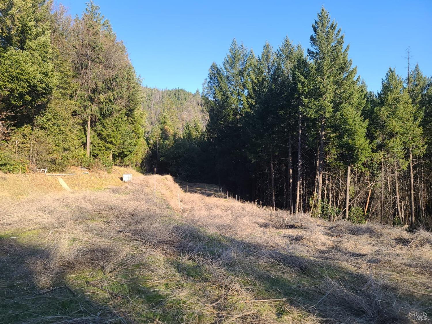 80250 Mina Road Covelo CA 95428