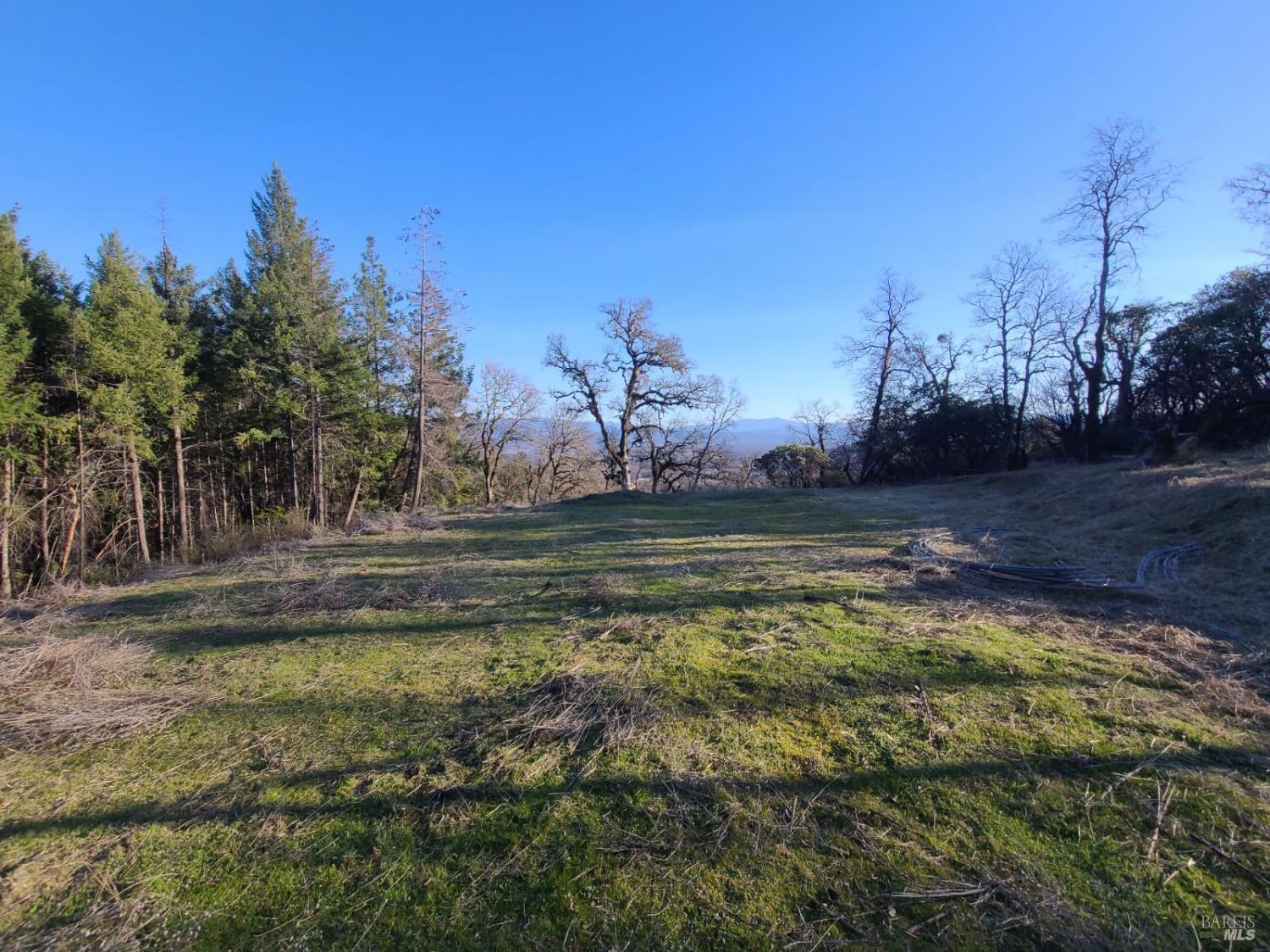 80250 Mina Road Covelo CA 95428