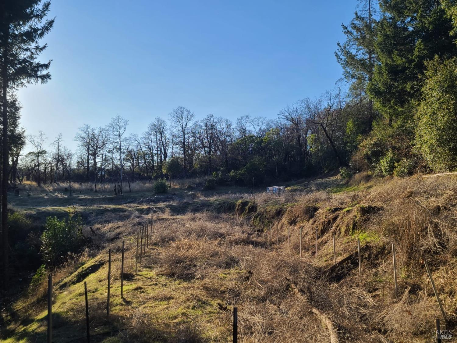 80250 Mina Road Covelo CA 95428