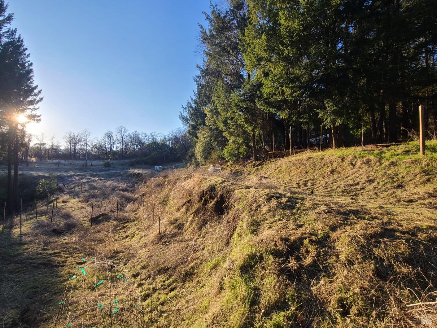 80250 Mina Road Covelo CA 95428