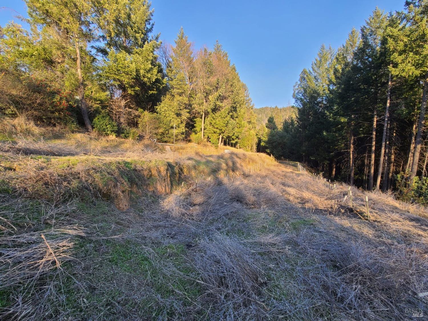 80250 Mina Road Covelo CA 95428