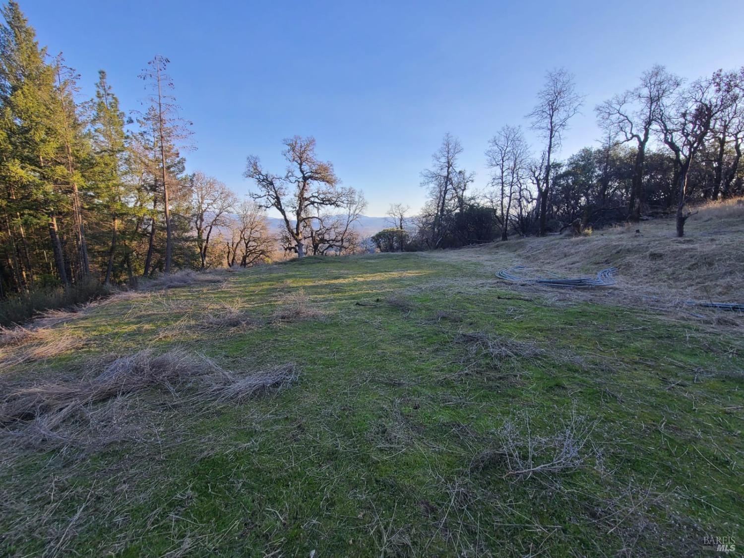 80250 Mina Road Covelo CA 95428