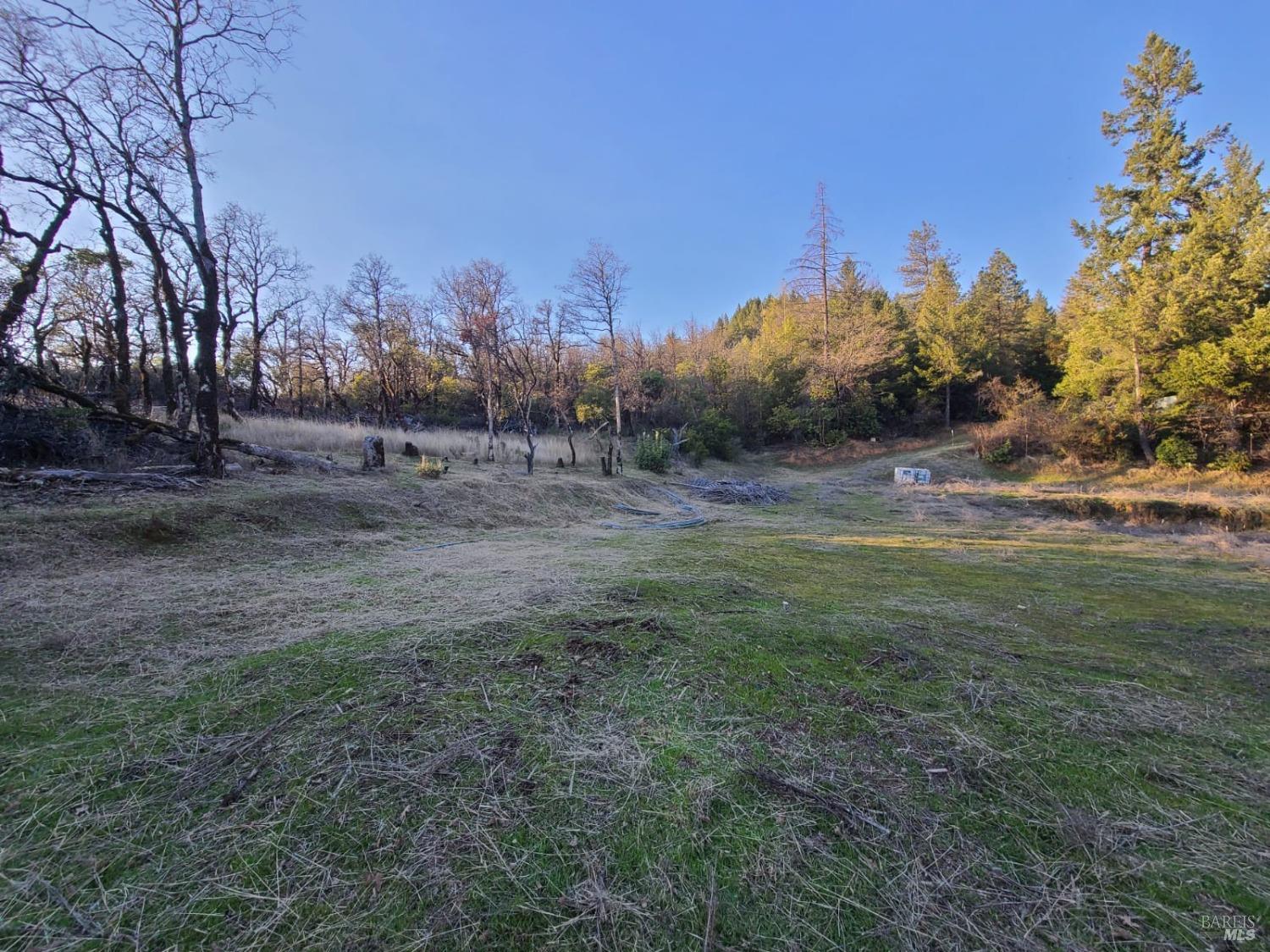 80250 Mina Road Covelo CA 95428