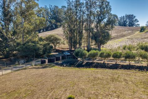 1355 Rose Avenue Penngrove CA 94951