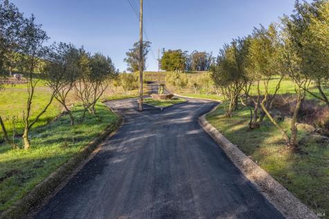 1355 Rose Avenue Penngrove CA 94951