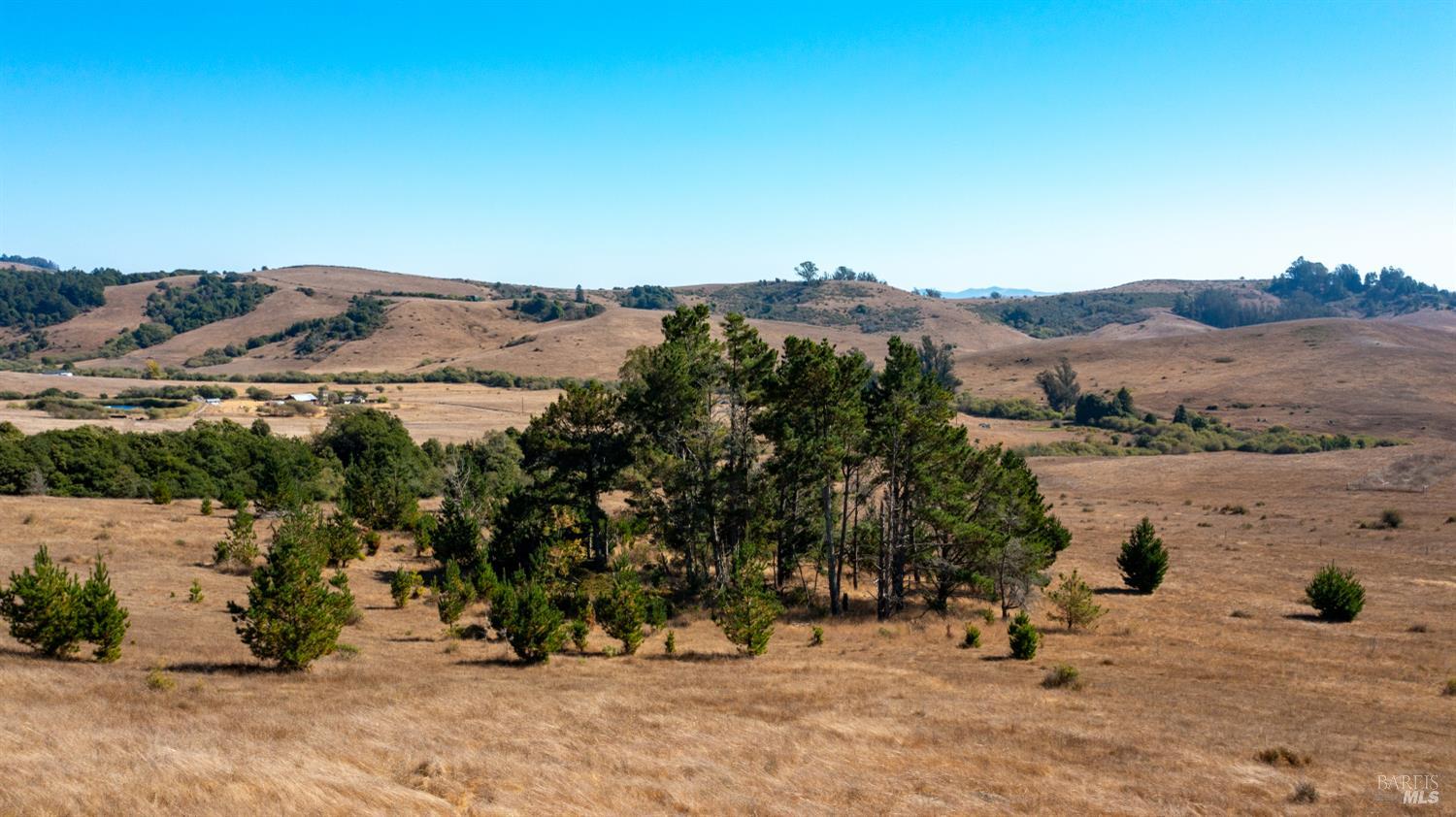 330 Valley Ford Freestone Road Bodega CA 94922