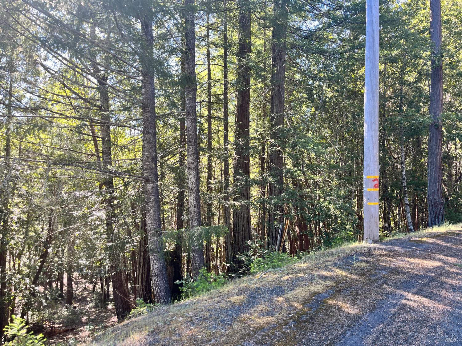 25143 Blue Jay Place Willits CA 95490