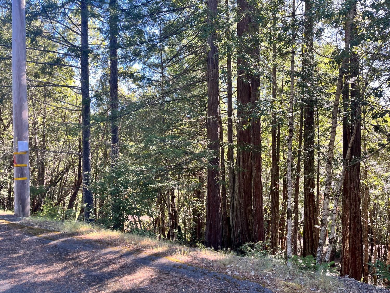 25143 Blue Jay Place Willits CA 95490