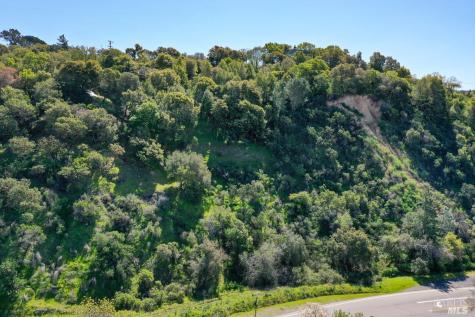 110 Sunny Oaks Drive San Rafael CA 94903