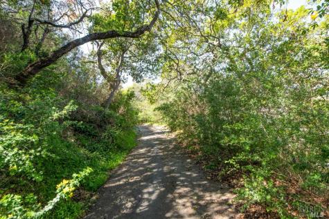 110 Sunny Oaks Drive San Rafael CA 94903