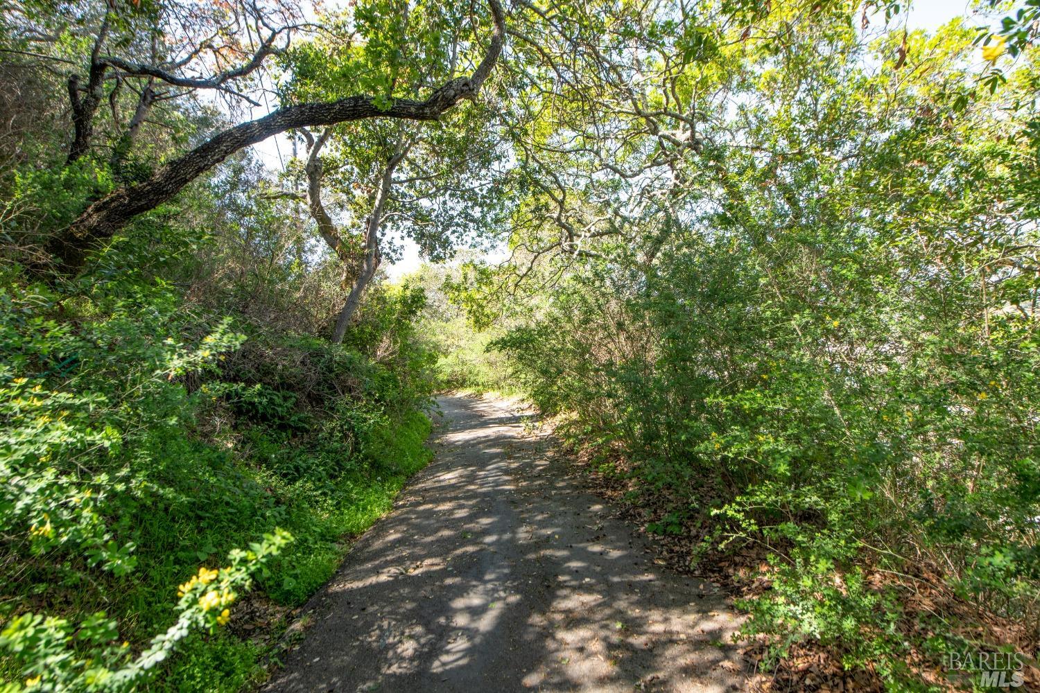 110 Sunny Oaks Drive San Rafael CA 94903