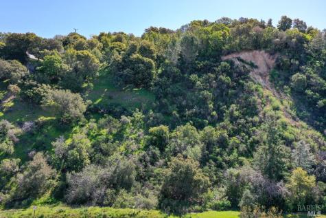 110 Sunny Oaks Drive San Rafael CA 94903