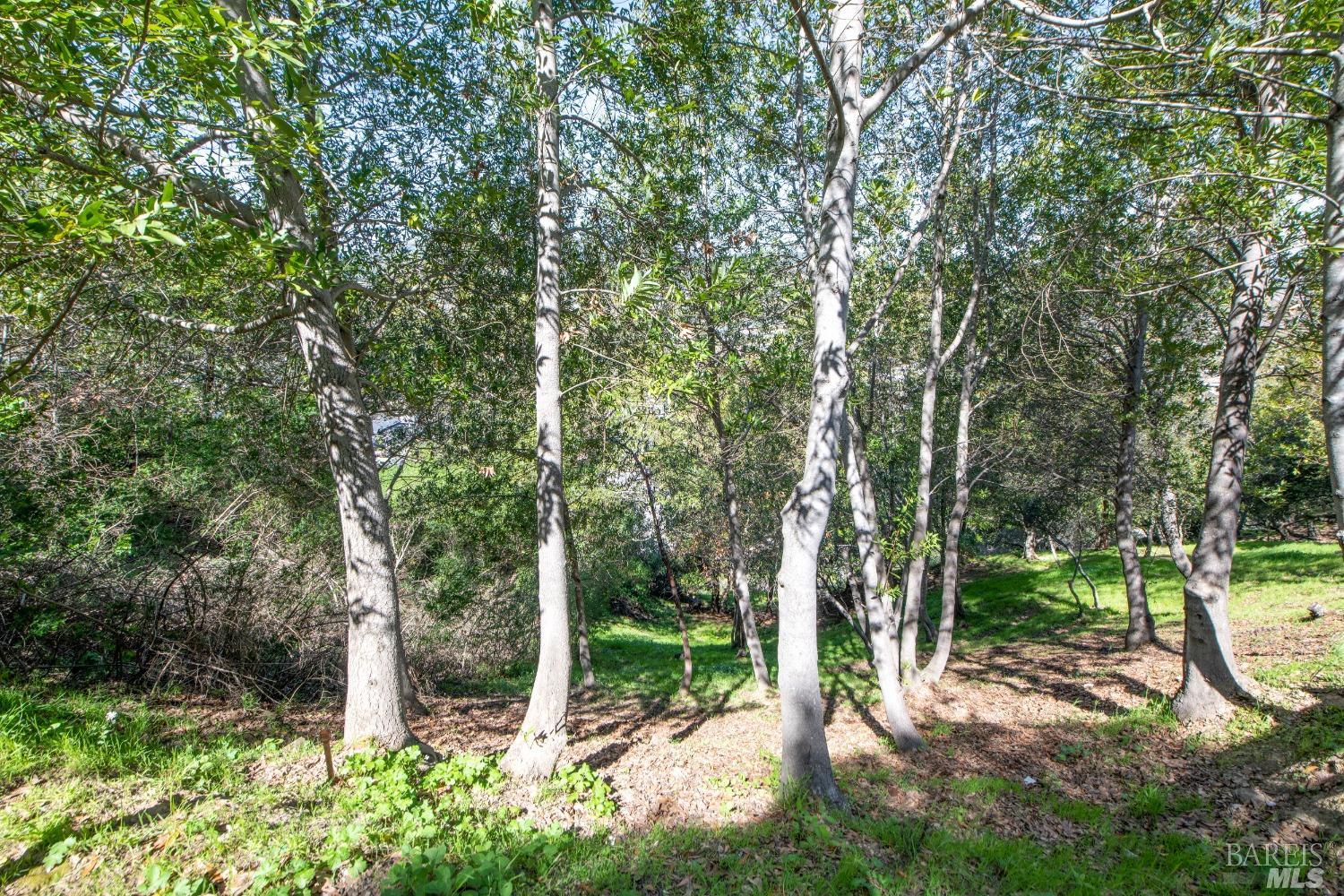 110 Sunny Oaks Drive San Rafael CA 94903
