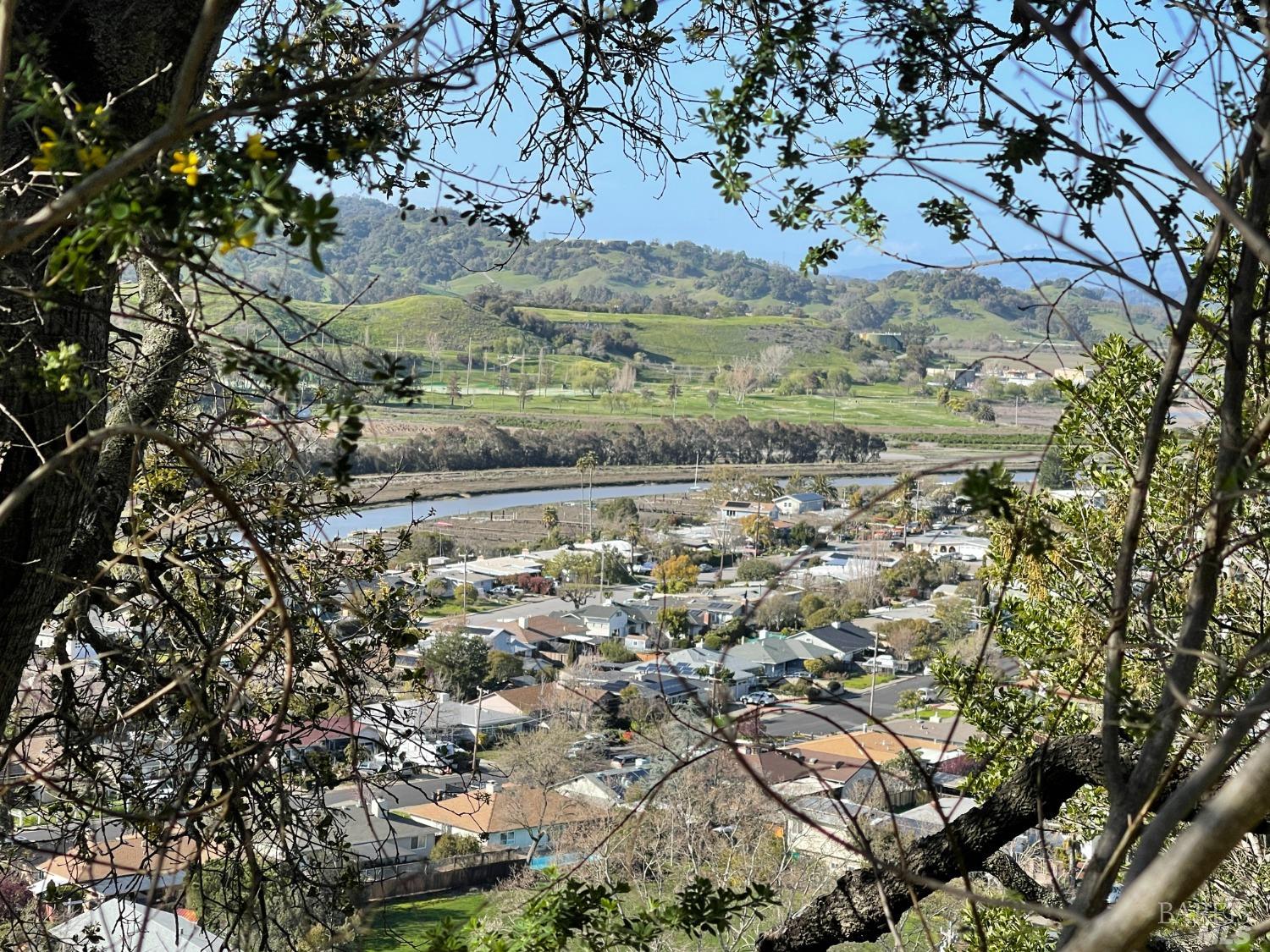110 Sunny Oaks Drive San Rafael CA 94903