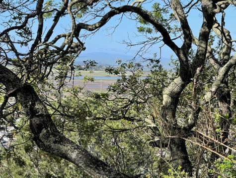 110 Sunny Oaks Drive San Rafael CA 94903